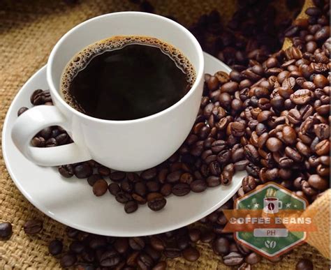coffee farm in batangas|Kapeng barako .